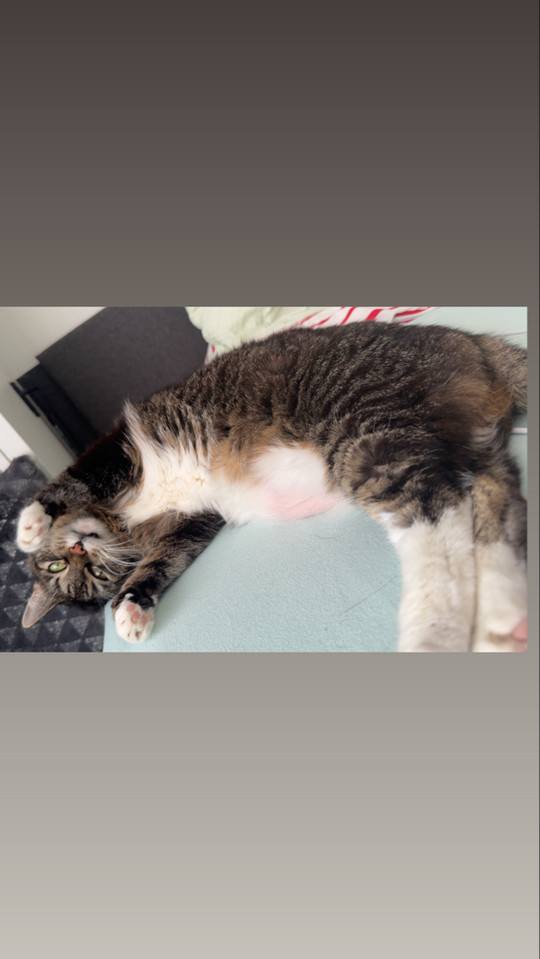 txsha_09