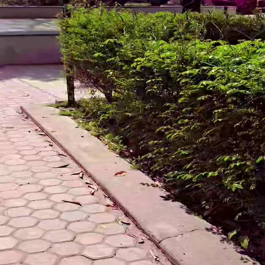 sagrikaguptaa