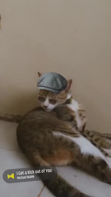 Preview for a Spotlight video that uses the Cool Cap Lens