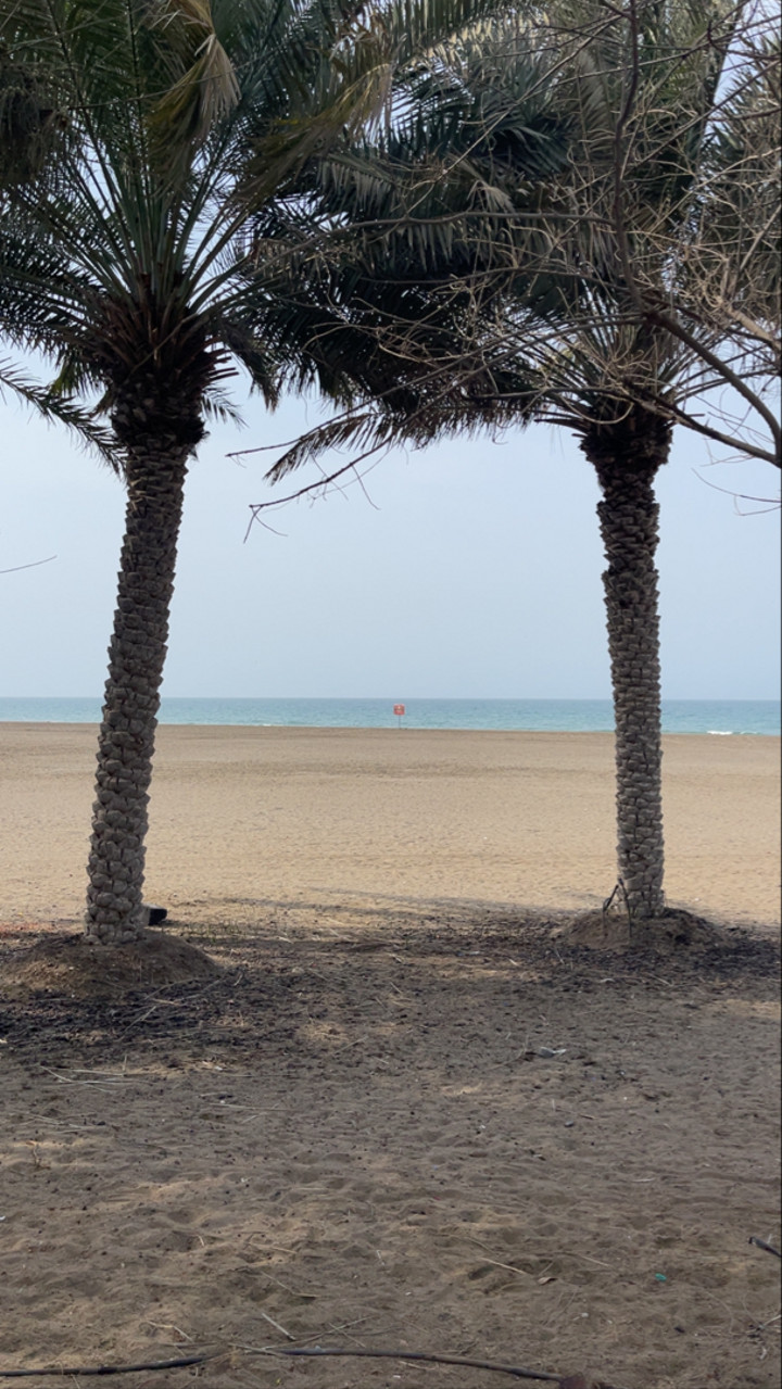 محتوى سناب شات لـ 𝕄𝕆ℍ𝔸𝕄𝕄𝔼𝔻 🇦🇪