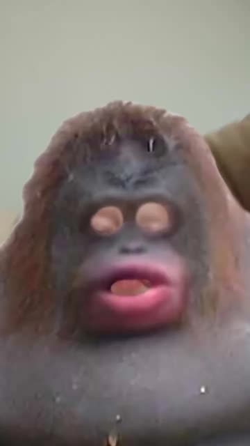 Preview for a Spotlight video that uses the UH OH Lens