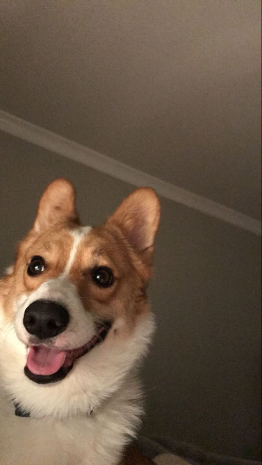 lindseyyyjooo