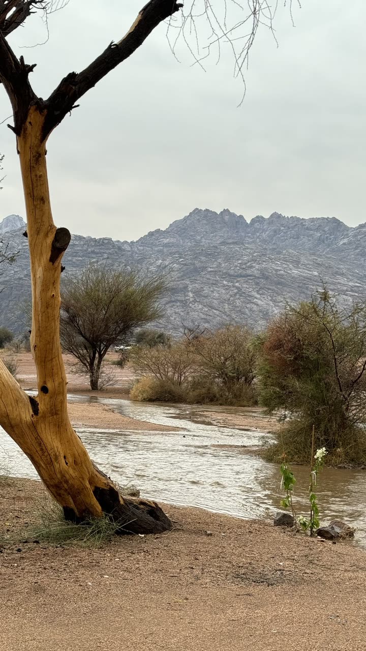 قصة سناب شات للحساب llill195-5 رقم 267