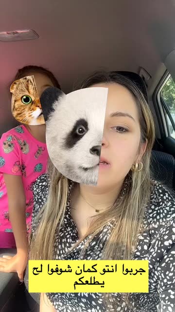 Preview for a Spotlight video that uses the Spirit Animal Lens