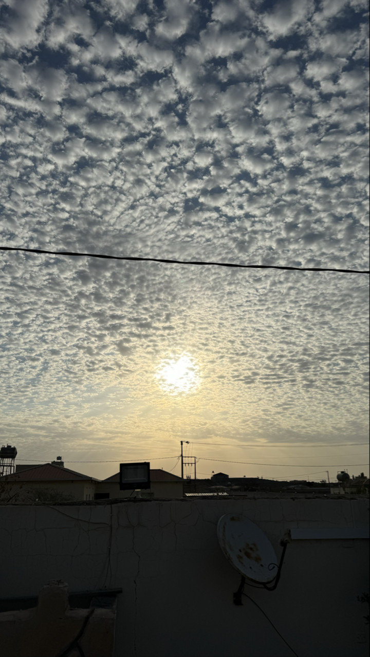 محتوى سناب شات لـ .‏ ‏𝙰𝙽𝙰𝚂