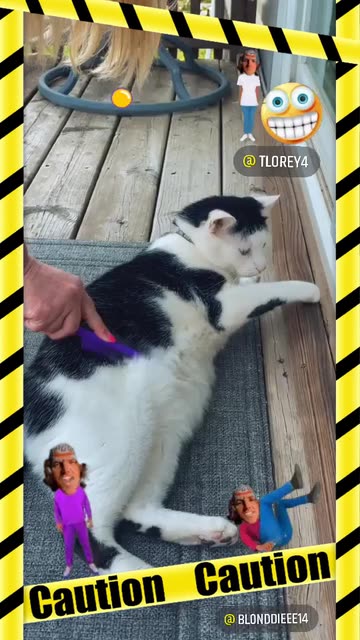Preview for a Spotlight video that uses the Summer Vibes Lens