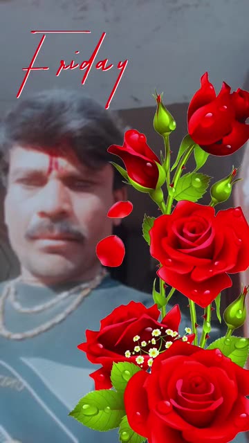 Preview for a Spotlight video that uses the Day Red Flowers Lens
