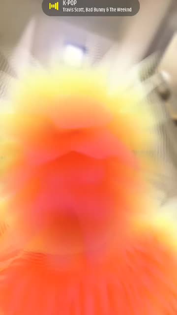 Preview for a Spotlight video that uses the Hairy Beast Lens