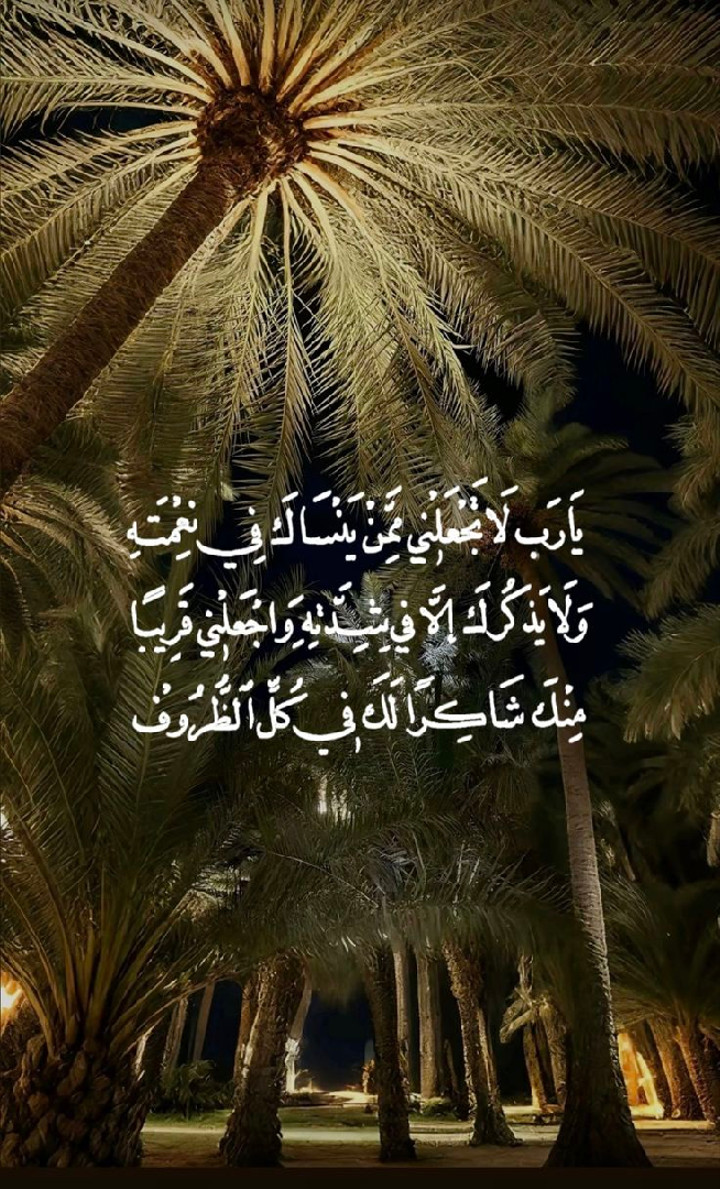 محتوى سناب شات لـ جوهي JAWAHER 🤎