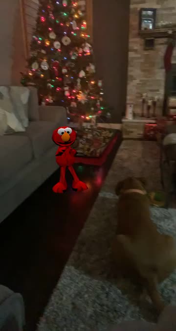 Preview for a Spotlight video that uses the Twerking Elmo Lens
