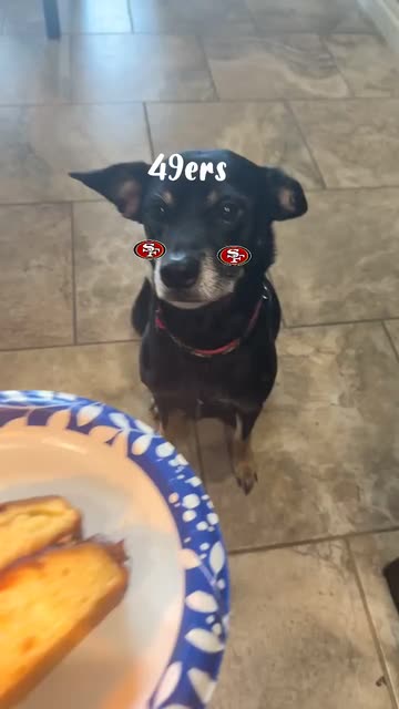 Preview for a Spotlight video that uses the 49ers Lens