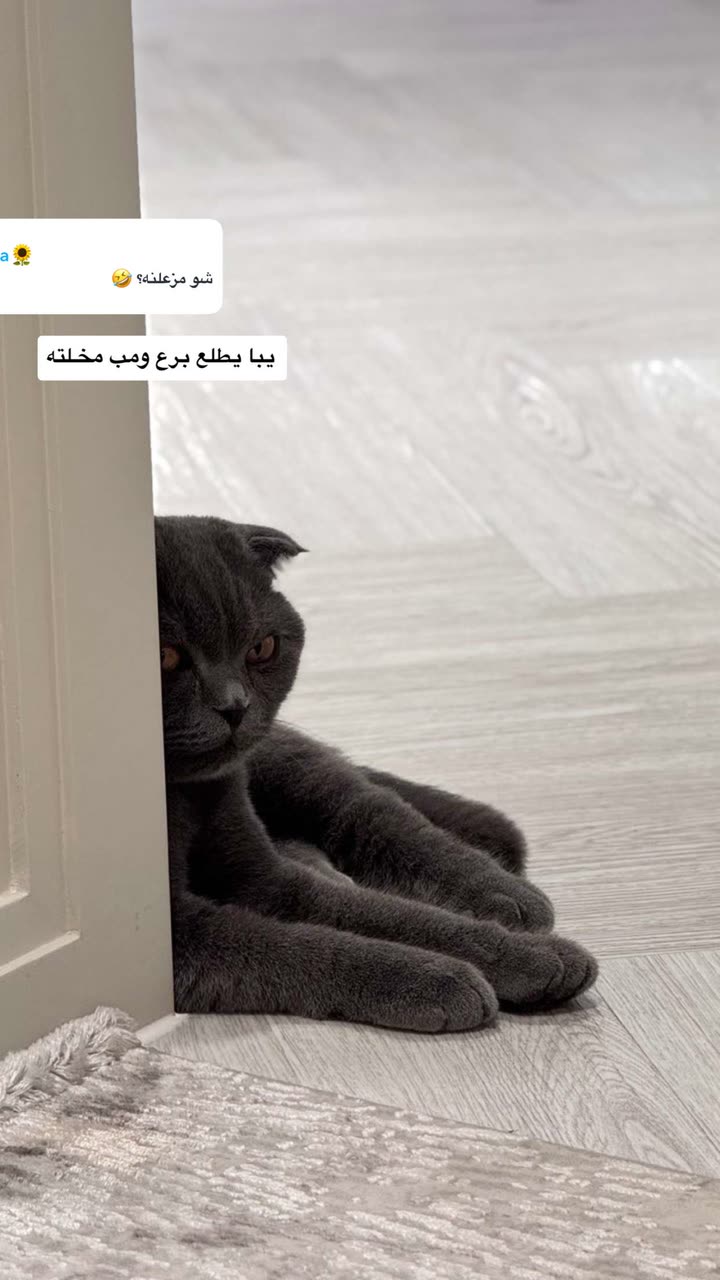 محتوى سناب شات لـ عفرا السويدي 🦋