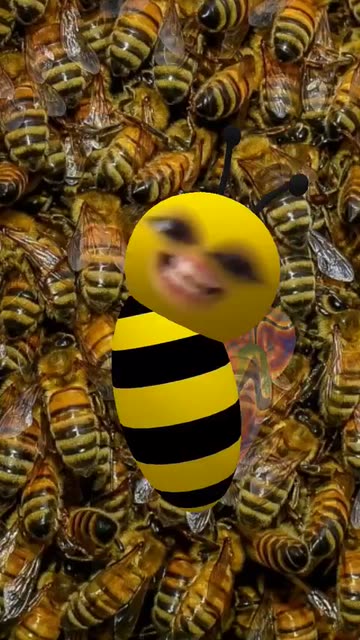 Preview for a Spotlight video that uses the cute bee Lens