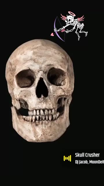 Preview for a Spotlight video that uses the skeleton Lens