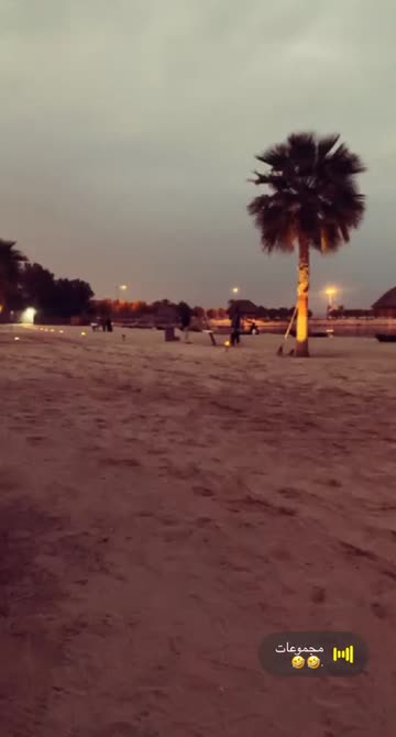 Preview for a Spotlight video that uses the Miami Beach Lens