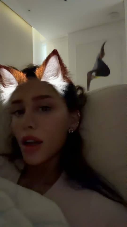 reinekhhh