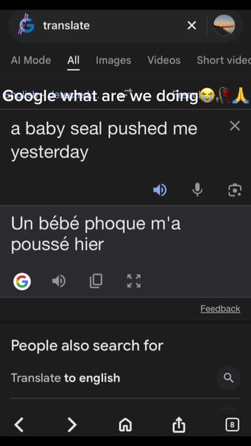 Google Translate Fails Miserably: 'A Baby Seal Pushed Me