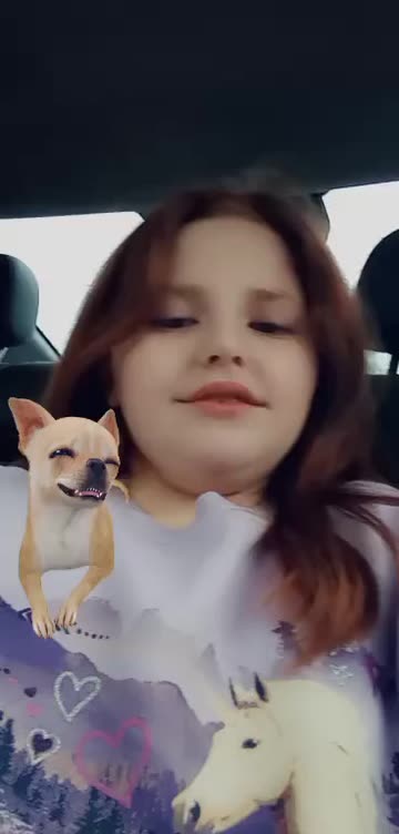 Preview for a Spotlight video that uses the Chihuahua Friend Lens