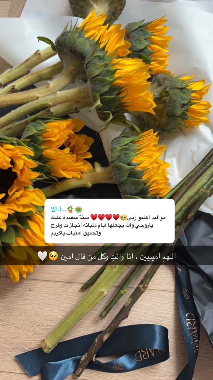 محتوى سناب شات لـ Shmowkh 🍃🎼🐺