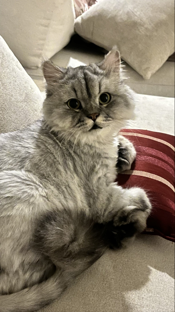محتوى سناب شات لـ Ruba.