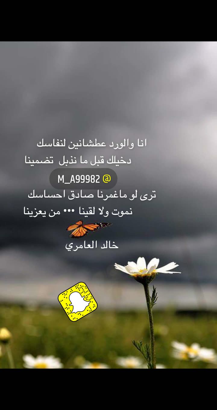 محتوى سناب شات لـ إنسان 💫