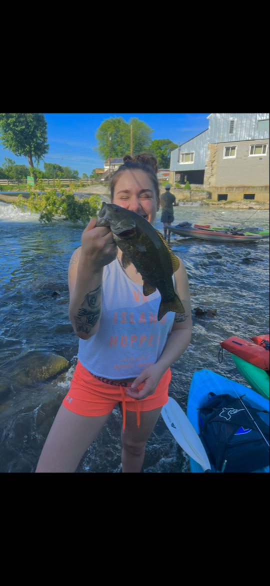ggbhabie