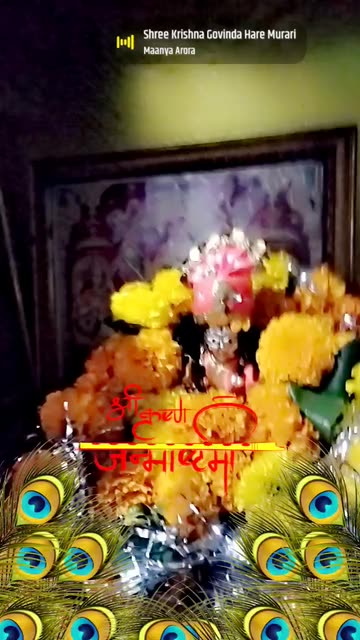 Preview for a Spotlight video that uses the Janmashtami Lens
