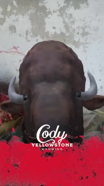 Preview for a Spotlight video that uses the Cody Bison Lens