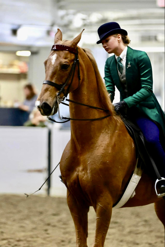 lpitre526