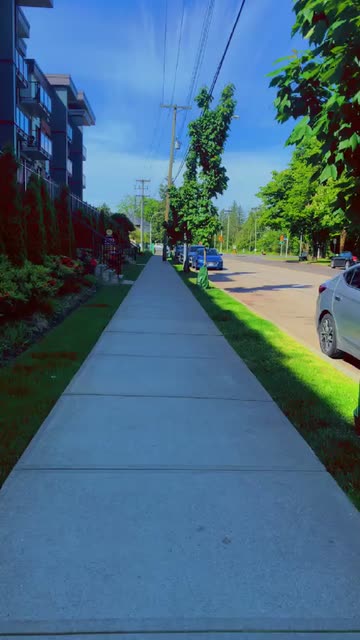 Preview for a Spotlight video that uses the indie filter Lens