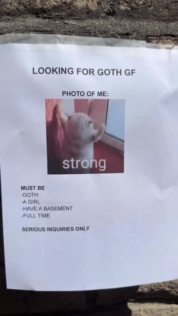 finabur