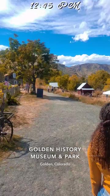 Preview for a Spotlight video that uses the Yellow Tree Lens