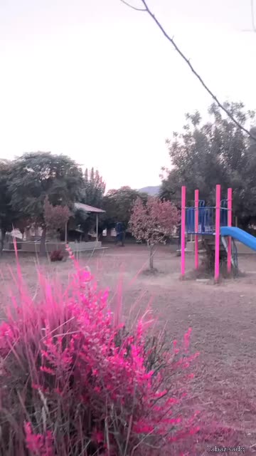 Preview for a Spotlight video that uses the purple Lens