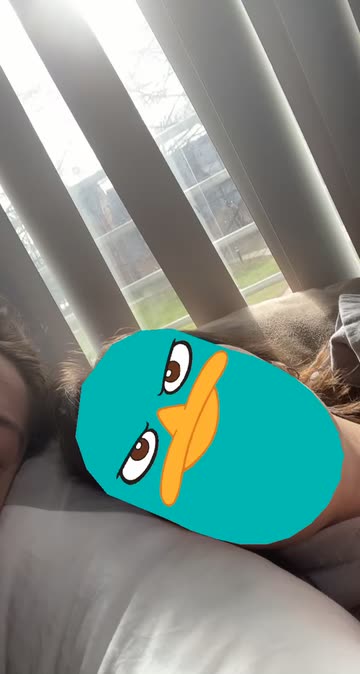 Preview for a Spotlight video that uses the Perry The Platypus Lens