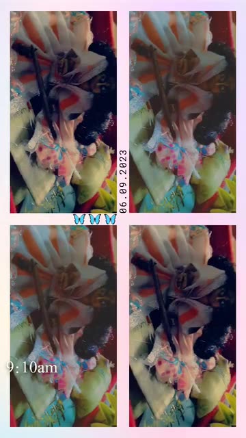 Preview for a Spotlight video that uses the Butterflies Collage 🦋 Lens