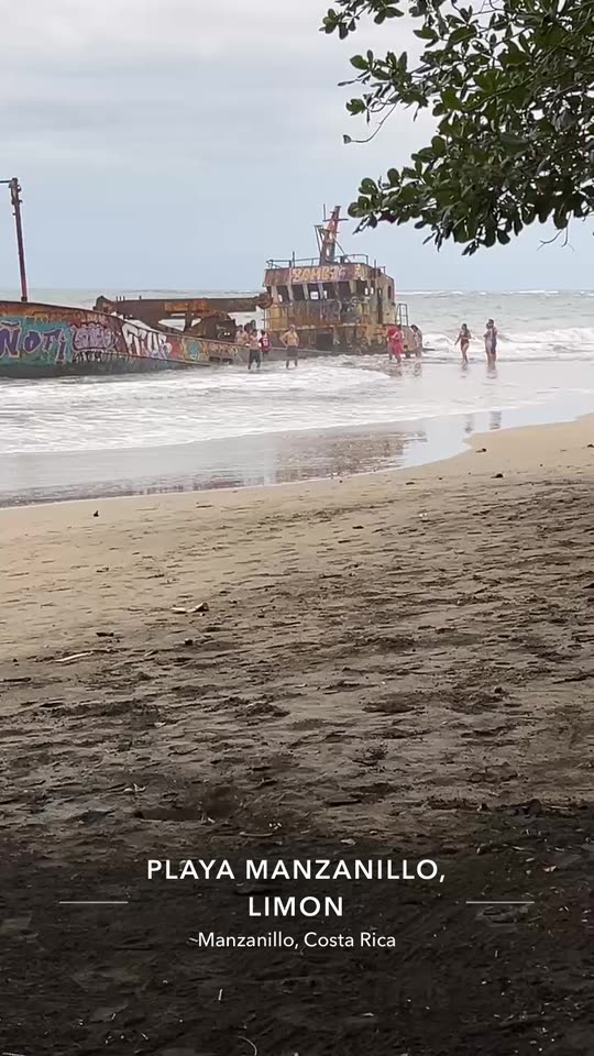 onlyrochaleona
