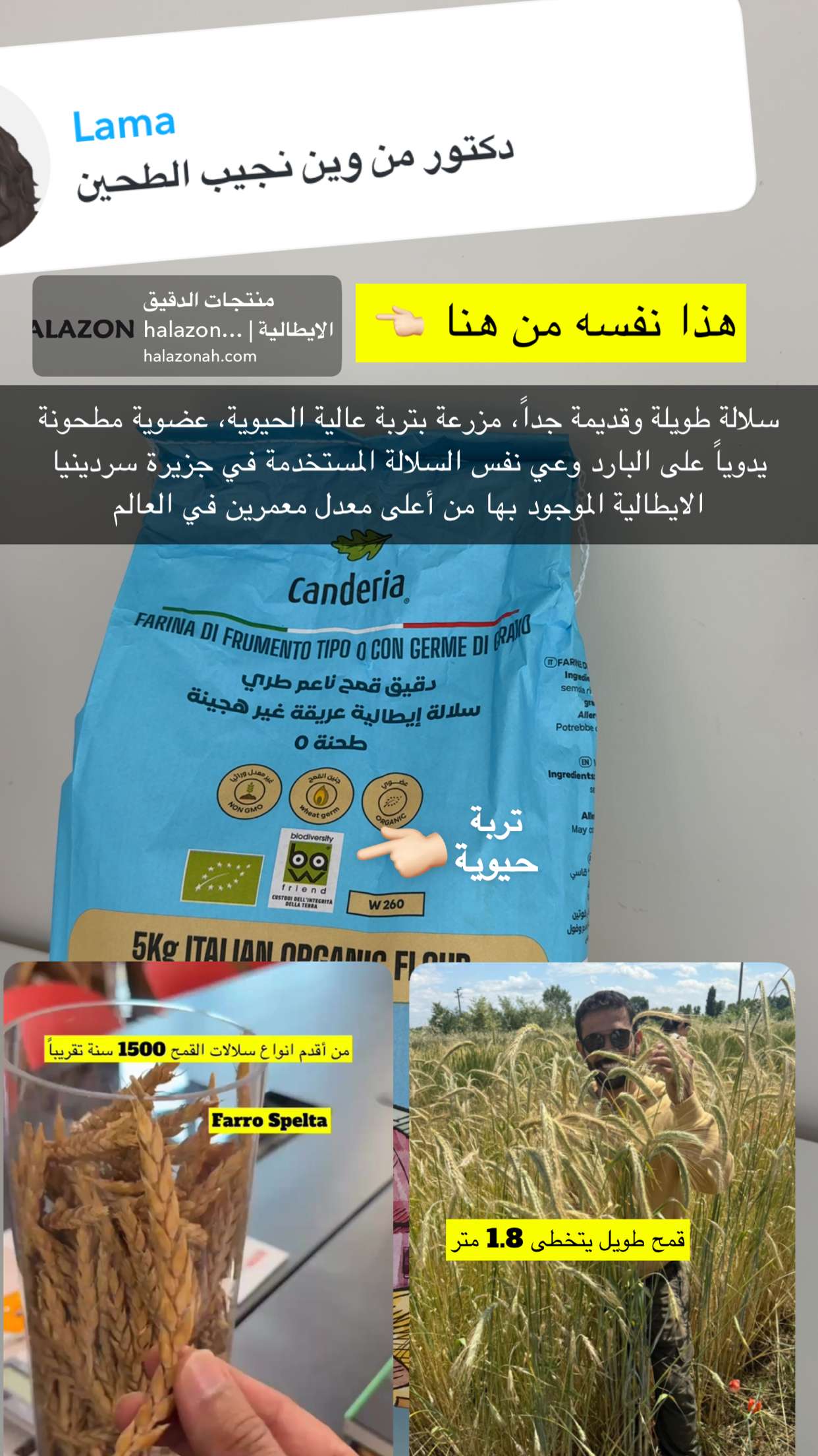 محتوى سناب شات لـ عمار العمار “DietsWiki"