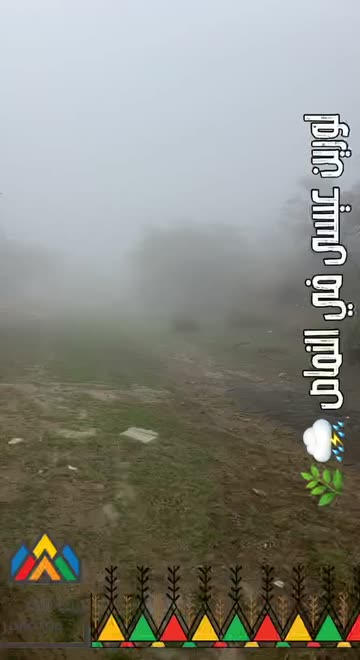 Preview for a Spotlight video that uses the LORI IN NAMMAS Lens