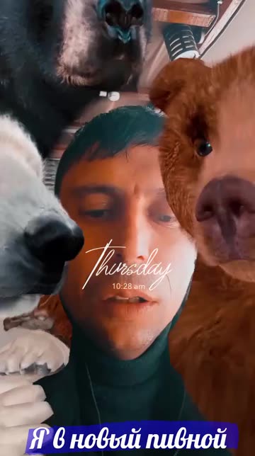 Preview for a Spotlight video that uses the 3 Little Bears Lens