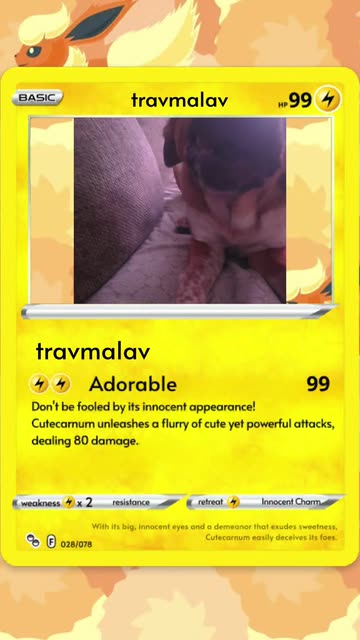 kangaskhan pokemon card Kangaskhan ex - 192/165