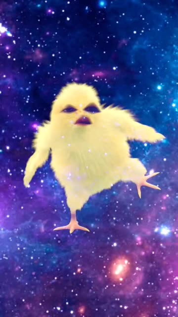 Preview for a Spotlight video that uses the Dancing Chicken Lens