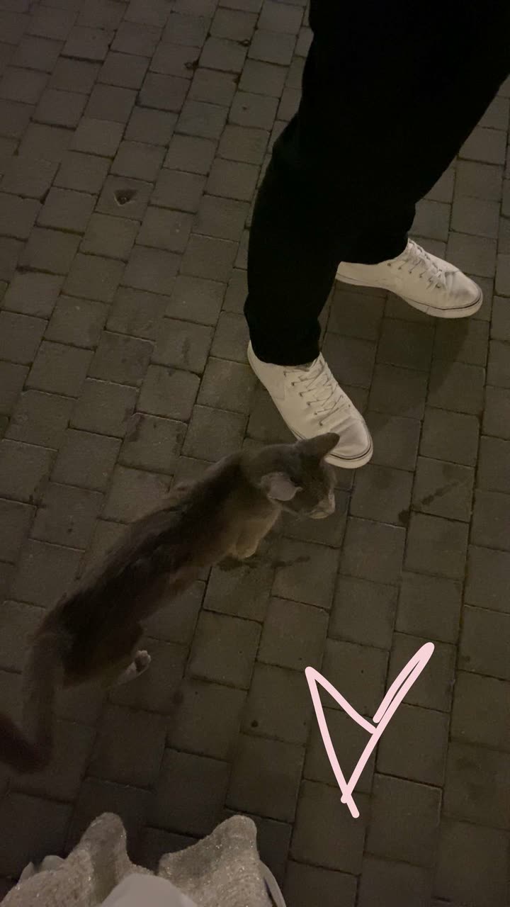 محتوى سناب شات لـ Sarah Alyafei ساره اليافعي