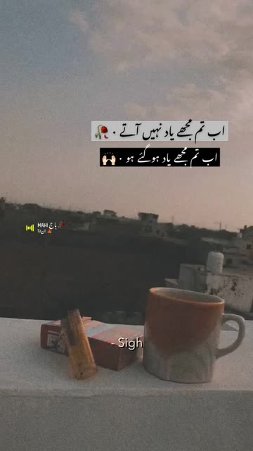 Preview for a Spotlight video that uses the subtitles Lens