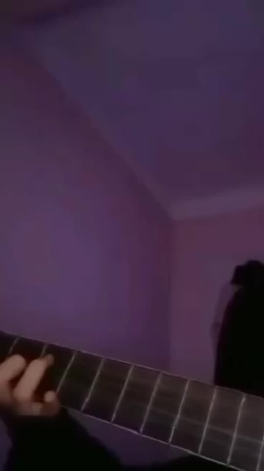 prvtwdd