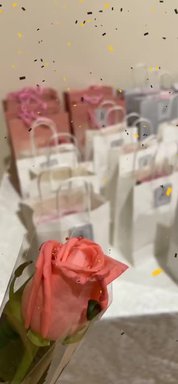 Preview for a Spotlight video that uses the UWYO Graduation Lens
