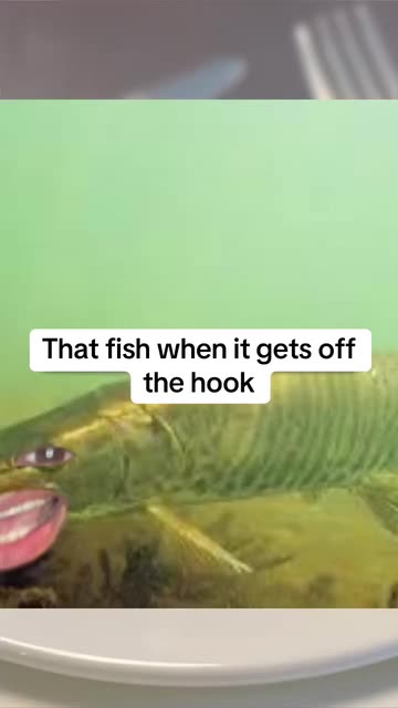 double fish hook meme Hookset Rig  Rite Angler Tandem Hooks