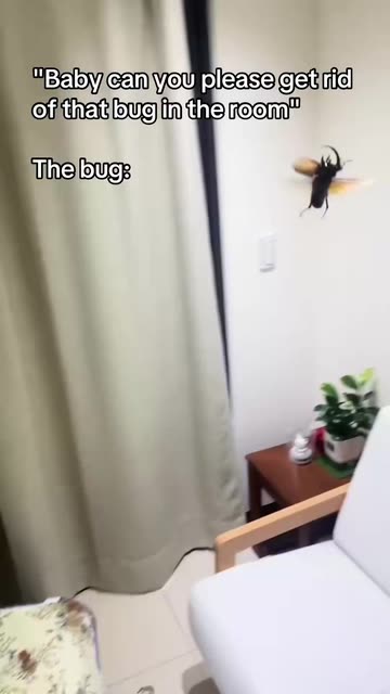DangMattSmith