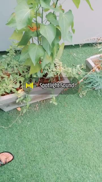 Preview for a Spotlight video that uses the HDR RED MOON Lens