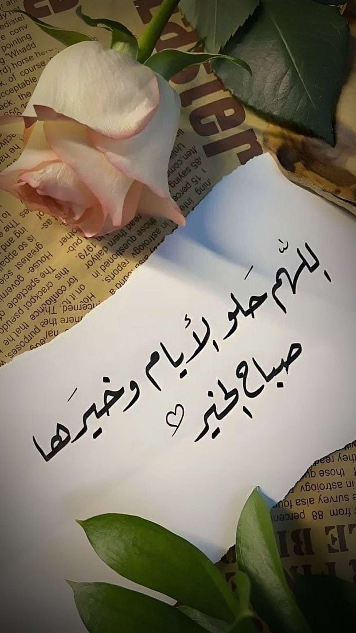 قصة سناب شات للحساب dodo_oio رقم 34