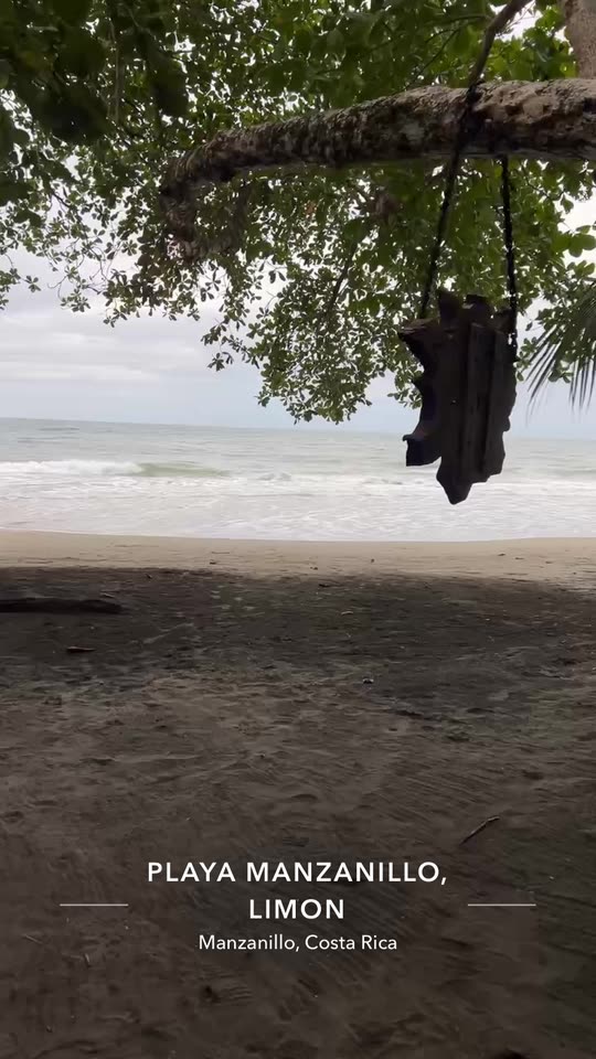 onlyrochaleona